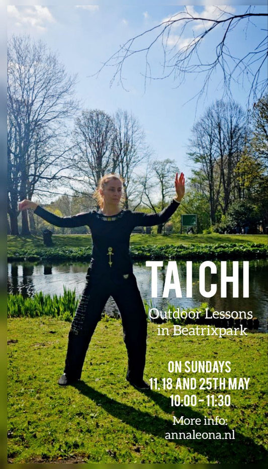 Taichi Outdoor Lessons in Beatrixpark